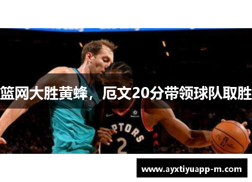 篮网大胜黄蜂，厄文20分带领球队取胜