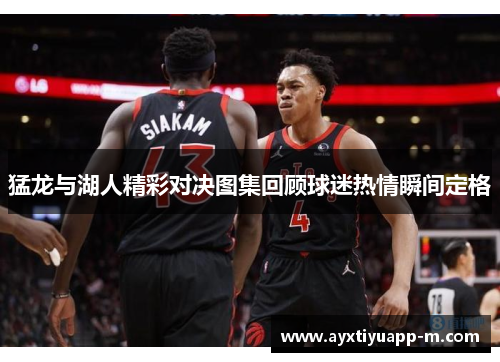 猛龙与湖人精彩对决图集回顾球迷热情瞬间定格